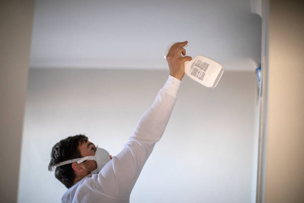 Best Water Damage Restoration  in Pasadena Hills, MO