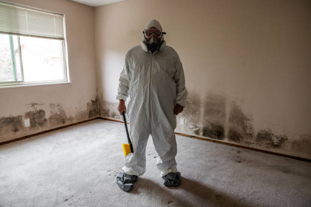 Mold Removal Process in Pasadena Hills, MO